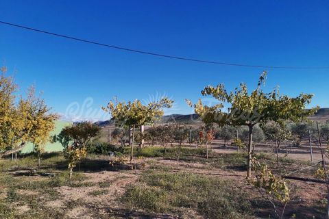 Landejendom i Yecla, Murcia, Yecla - € 155.000 | Ref: SF0370 - foto 18